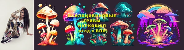 тгк Абинск