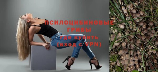 тгк Абинск