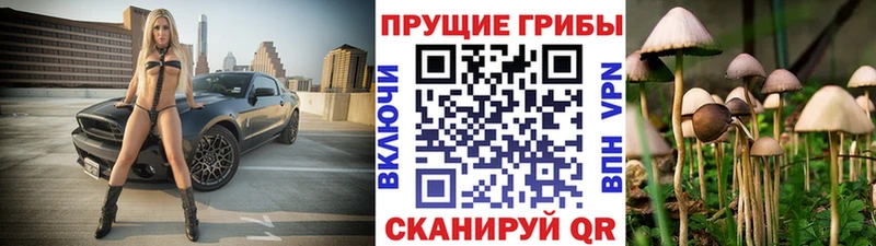Псилоцибиновые грибы Psilocybe  Североморск 