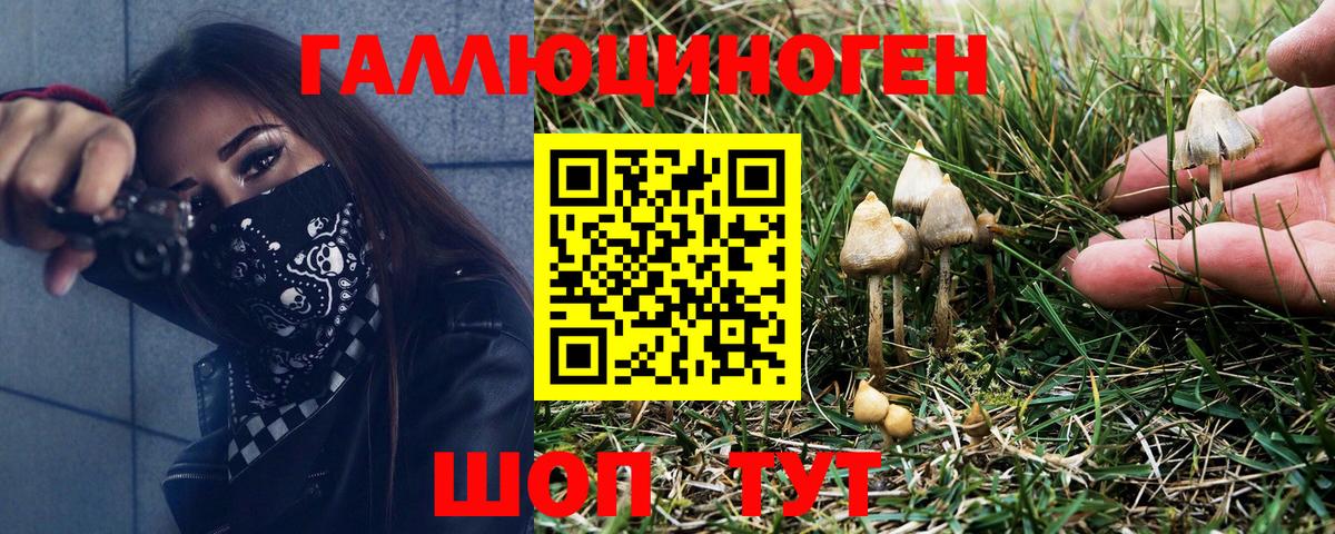 Псилоцибиновые грибы мухоморы Североморск