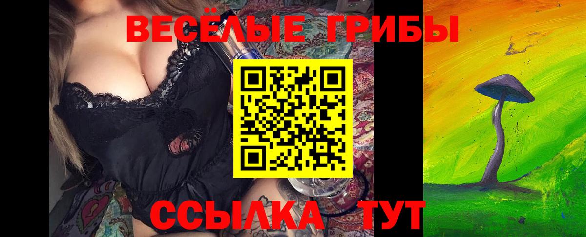 Североморск  Галлюциногенные грибы прущие грибы  Вход с VPN  Псилоцибиновые грибы GOLDEN TEACHER 